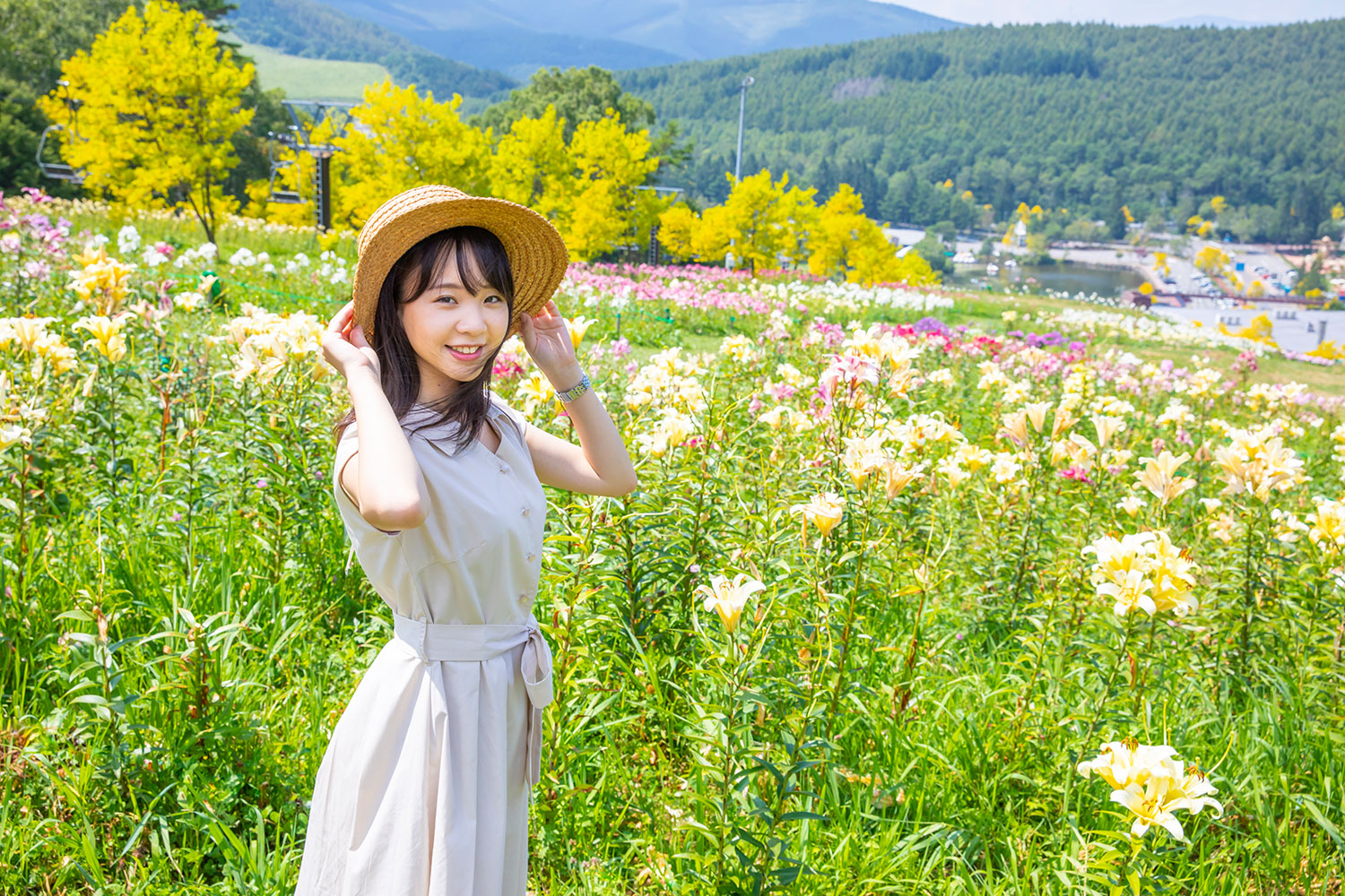 花の丘とリフト 白樺高原 Film Commission 花の丘とリフト 白樺高原 Film Commission